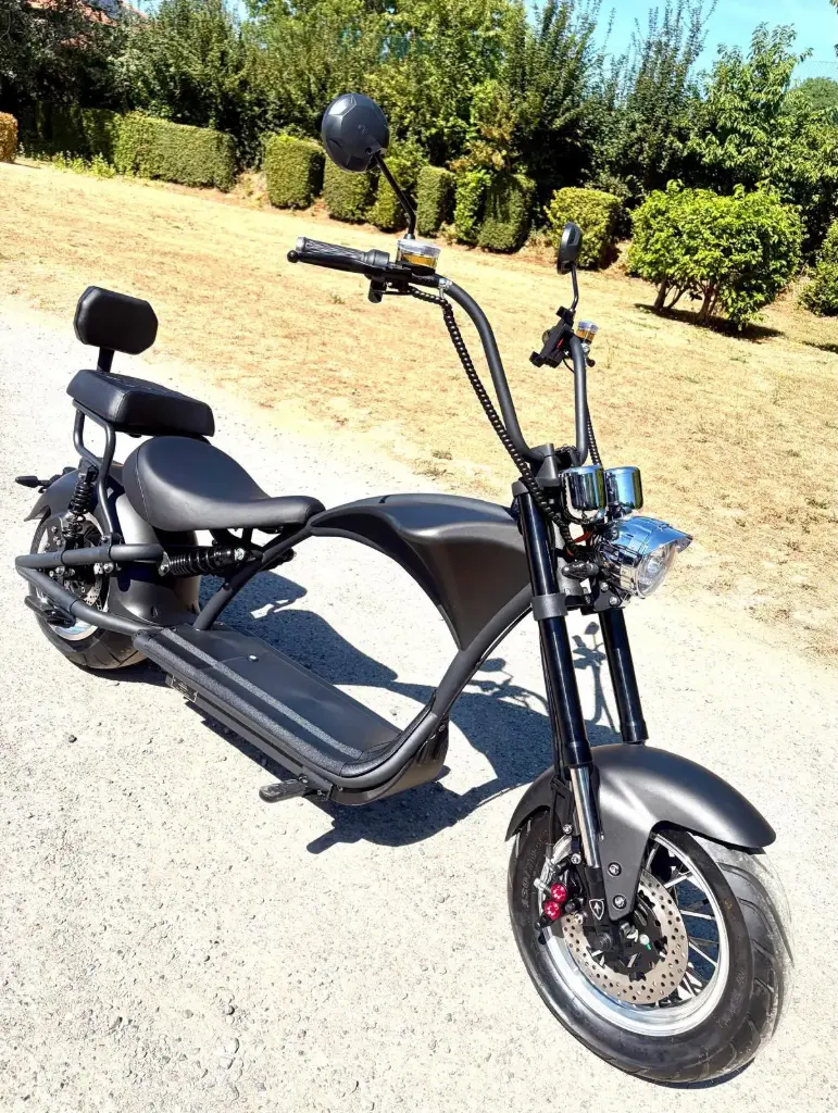 MoB1 20.30 M1P 2000W-30AH